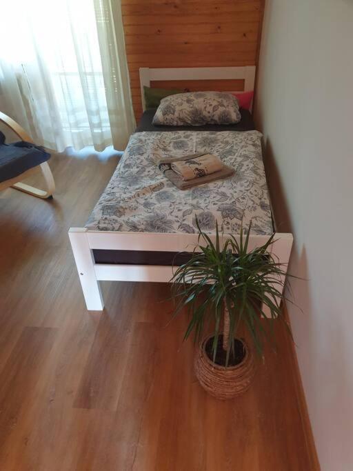 Room Sodja Бохинь Экстерьер фото
